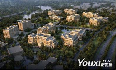 江城竞速，创意飞扬 武汉数字文化创意软件开发的崛起与未来